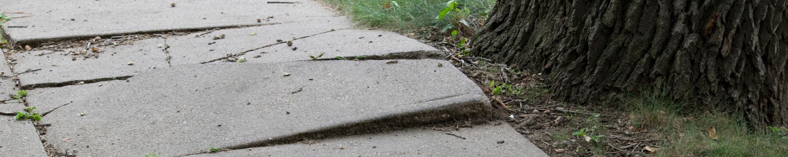 Headerafbeeldingen meldingen en klachten, scheve stoeptegels door boomwortels